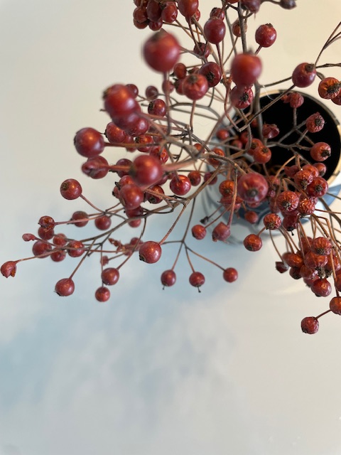 Natur, Unikat, handgemacht
